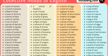 List of 99 Collective Nouns in English with Pictures format
