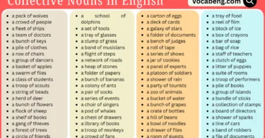 List of 99 Collective Nouns in English with Pictures format