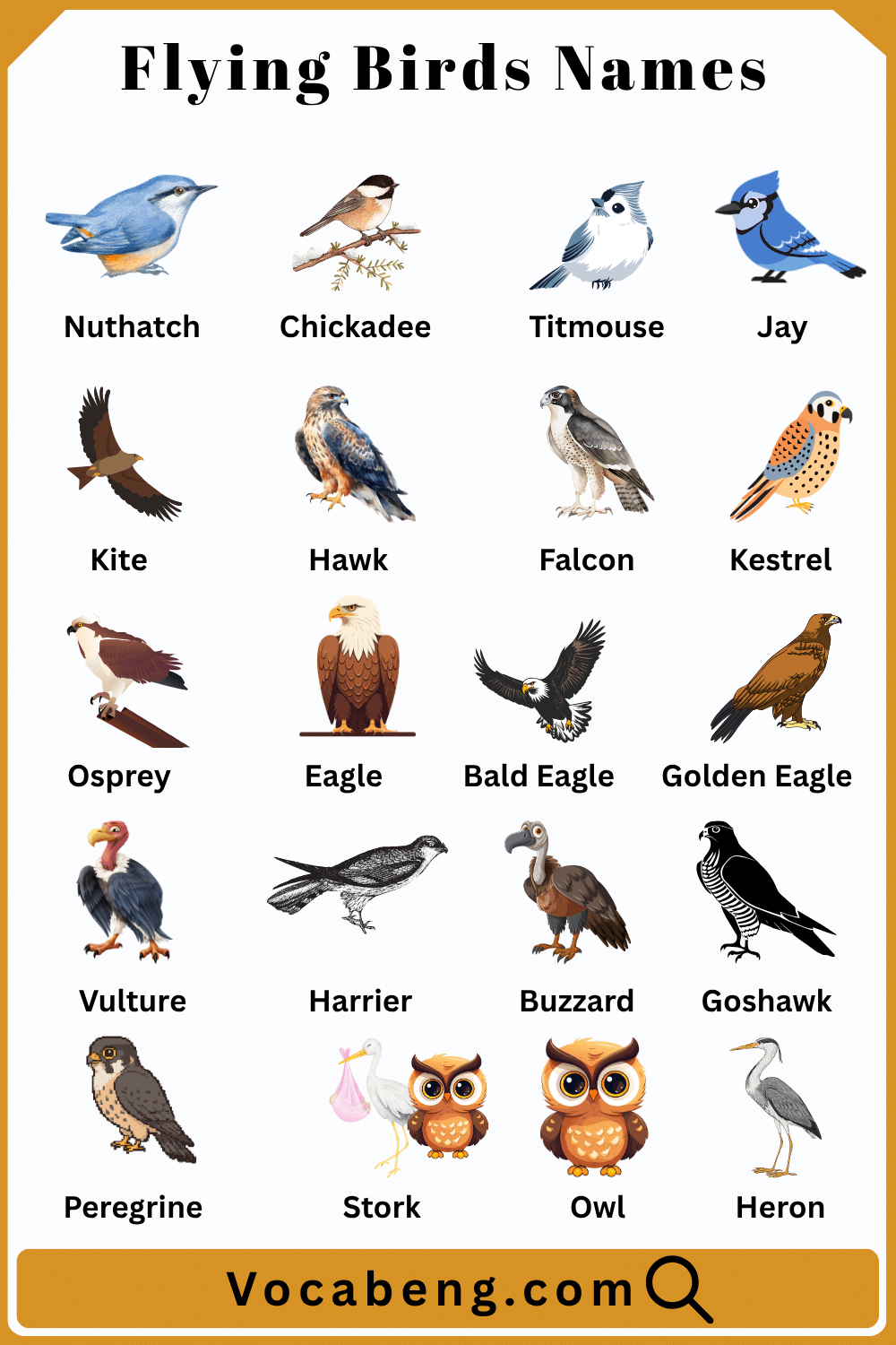 List of Flying Birds Names and their Pictures