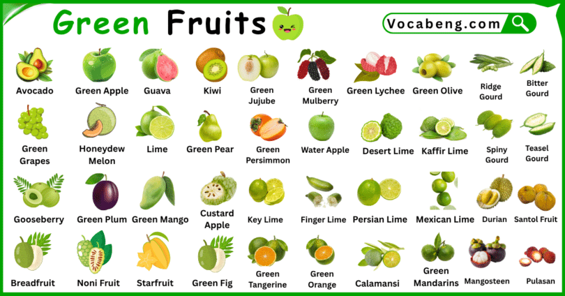 List of Green Fruits in English with Pictures