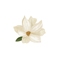 Magnolia | Plants and Their Names