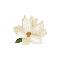 Magnolia | Flowers Names in English