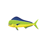 Mahi-mahi