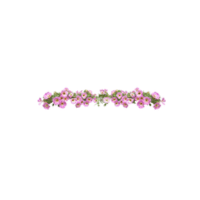 Margin | Parts of Flowers with Names