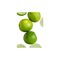 Mexican Lime | List of green fruits