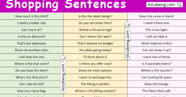 Most Common Shopping Sentences in English with Pictures