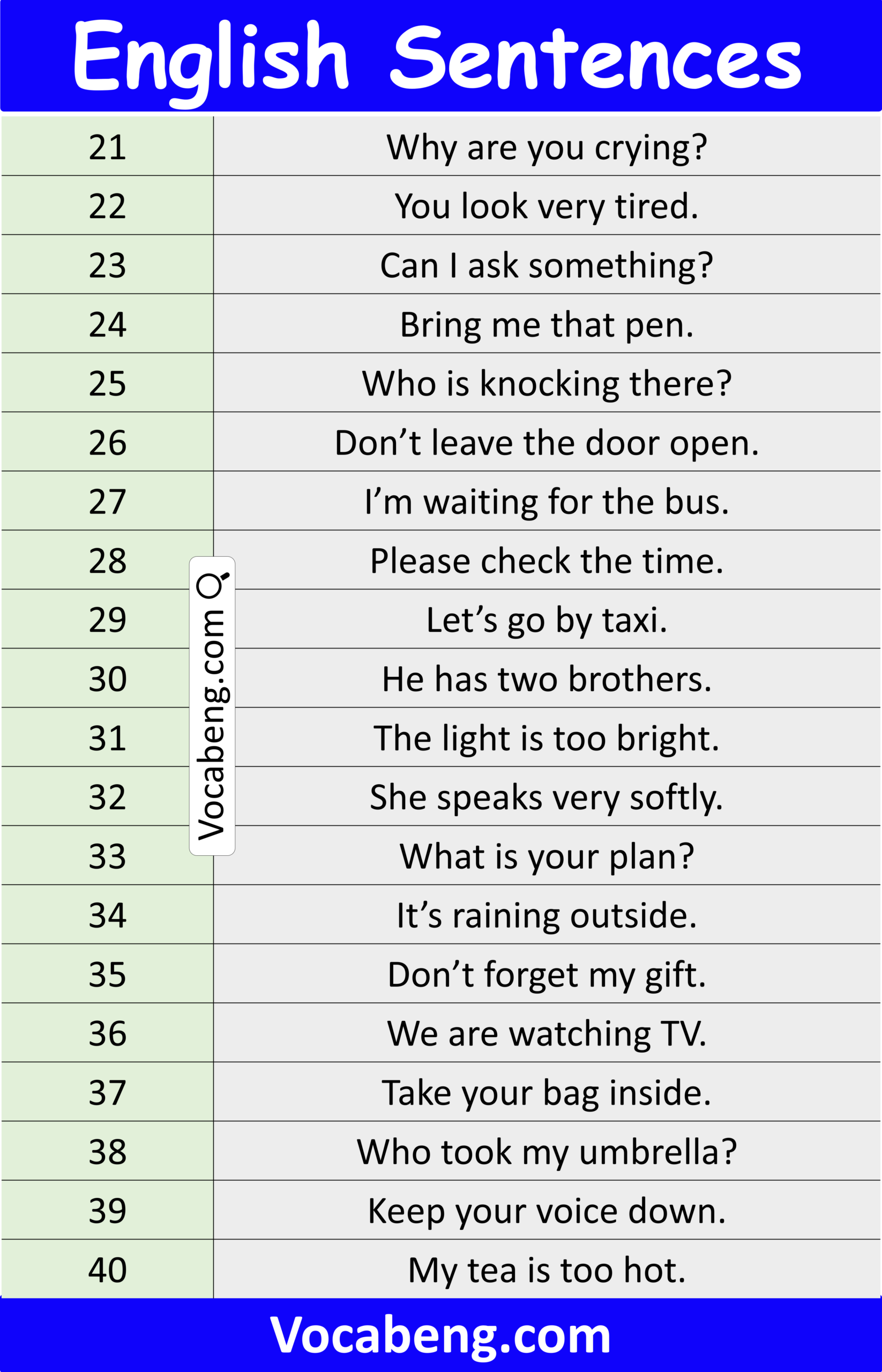 Most Useful English Sentences for Beginners