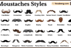 Moustaches Styles and Their Names in English with Pictures