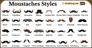 Moustaches Styles and Their Names in English with Pictures