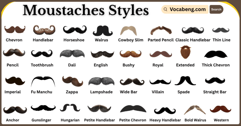 Moustaches Styles and Their Names in English with Pictures