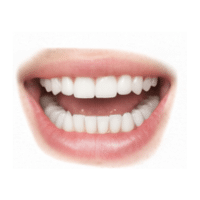 Mouth