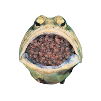 Mudskipper egg