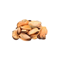 Mussel meat | Types of Meats with Names