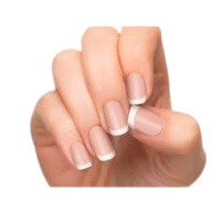 Nail | Parts of Body with Names in English