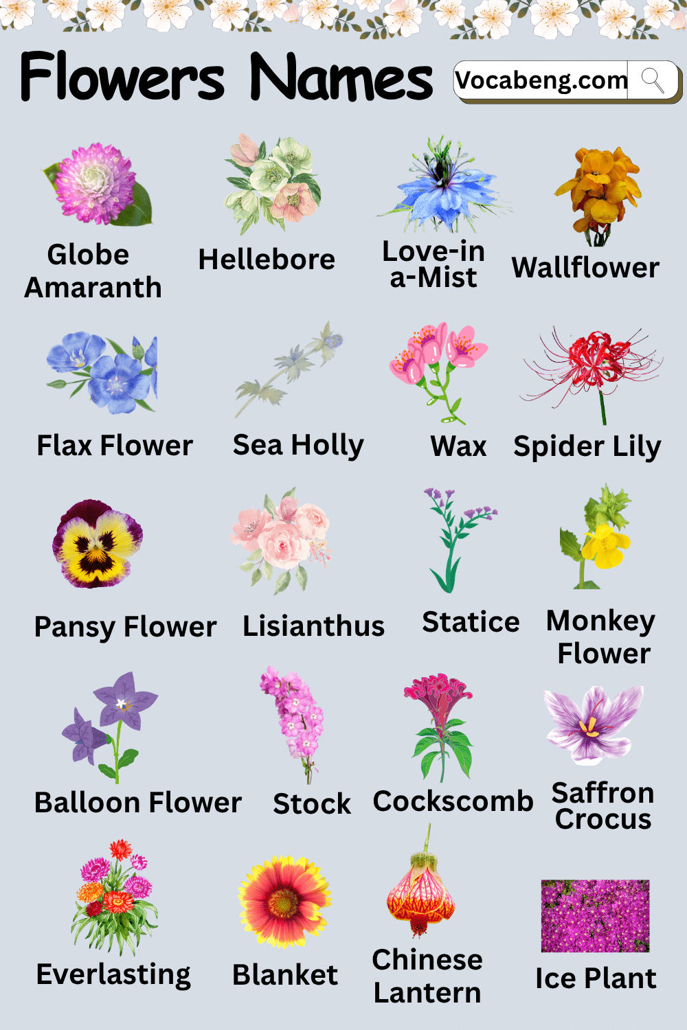 Names and Pictures of flowers
