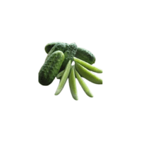 National Pickling Cucumber