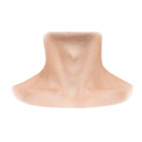 Neck | Parts of Body with Names in English