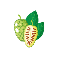 Noni Fruit | List of green fruits