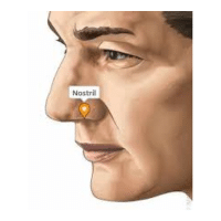 Nostrils