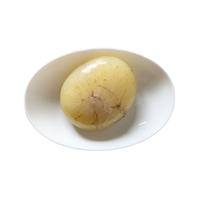 Octopus egg