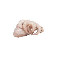 Octopus meat | Types of Meats with Names