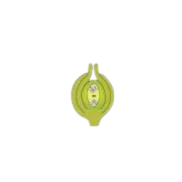 Ovule