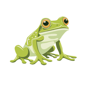 Pacific Tree Frog | Types of Frogs with Names