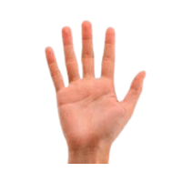 Palm | Parts of Body with Names in English