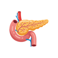 Pancreas Specialist