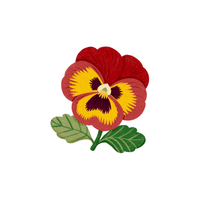 Pansy | Plants and Their Names