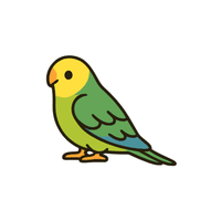 Parakeet | Flying Birds Names