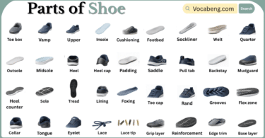 Parts of Shoe with Names in English with Pictures