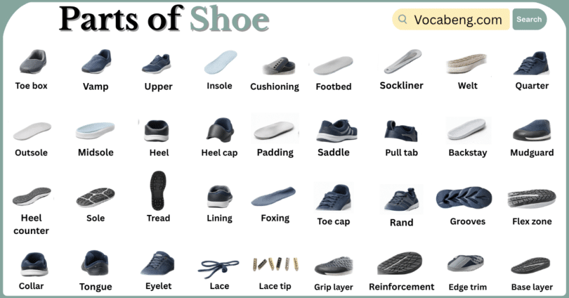 Parts of Shoe with Names in English with Pictures