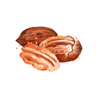 Pecans | Baking Vocabulary in English
