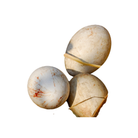 Pelican egg | Types of Eggs with Names in English