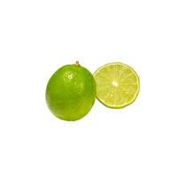 Persian Lime | List of green fruits