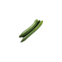 Persian Cucumber | Types of Cucumbers with Names
