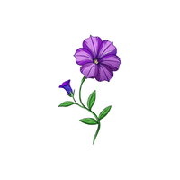Petunia | Plants and Their Names