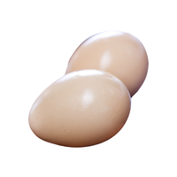 Pheasant egg