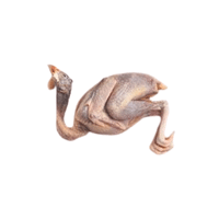 Pheasant meat | Types of Meats with Names