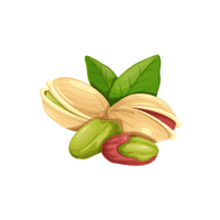 Pistachios | List of Snacks Vocabulary in English