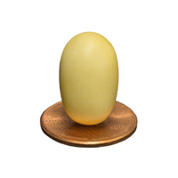 Platypus egg