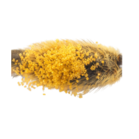 Pollen brush