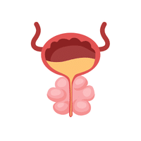 Prostate Specialist
