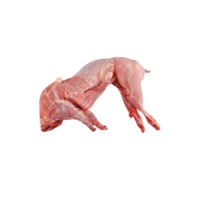 Rabbit meat | Types of Meats with Names