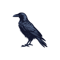 Raven | Flying Birds Names