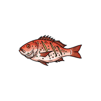 Redfish
