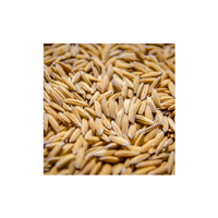 Rex | Types of Rice with Names