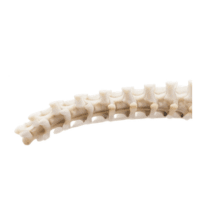Rib | Parts of Fish