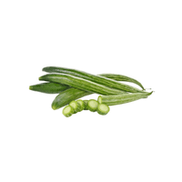 Ridge Gourd